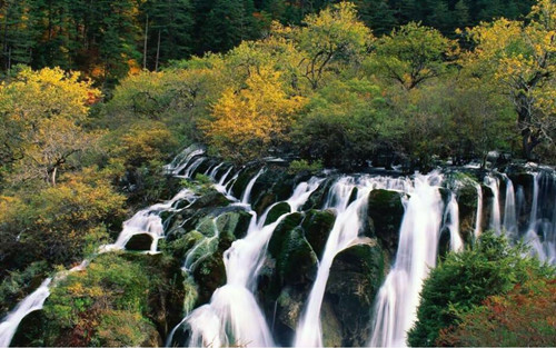 王達：從庭院到風景，重回中國造園的原點