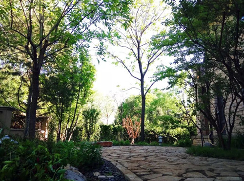 王達：從庭院到風景，重回中國造園的原點