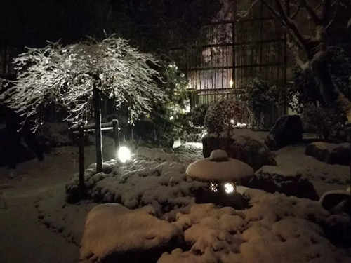 王達：從庭院到風景，重回中國造園的原點