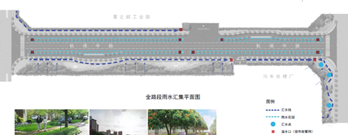 劉怡：城市雙修中“見縫插針”式的生態修復
