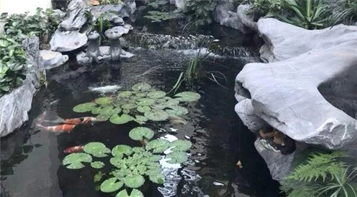 庭院設計水景有什么優點？