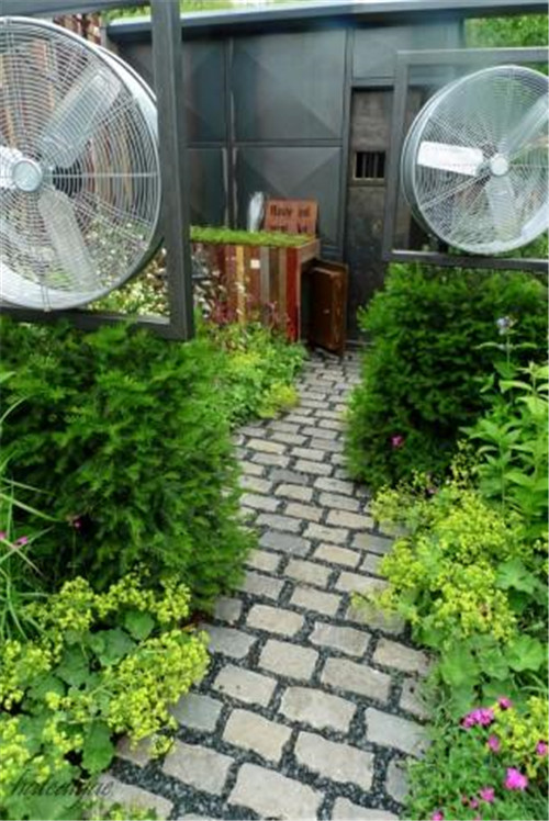石頭“玫瑰花園”，深深打動了我！
