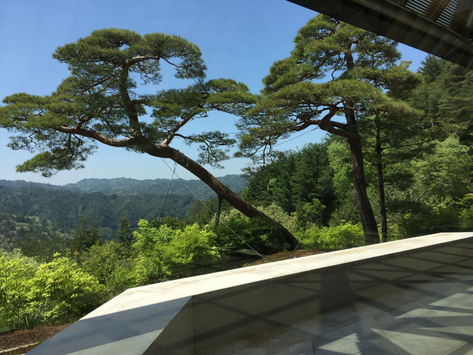 感受日本現代景觀和知名建筑 對話禪僧大師枡野俊明
