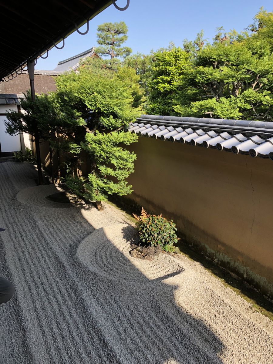 領(lǐng)略日本傳統(tǒng)庭院 考察京都最美河流