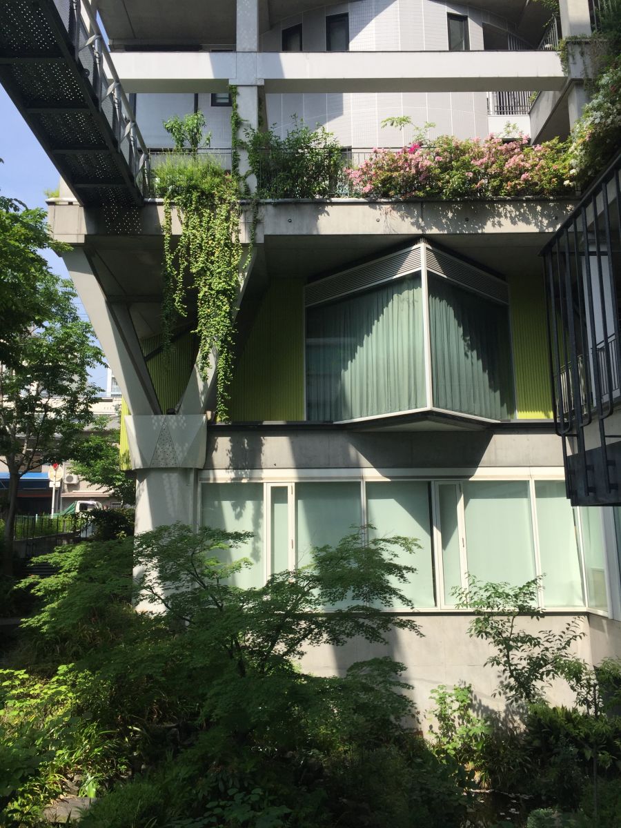 參觀大師安藤忠雄作品 考察大阪住宅與商業建筑