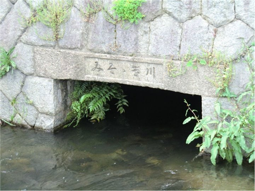 日本鴨川河上的千姿百態的橋