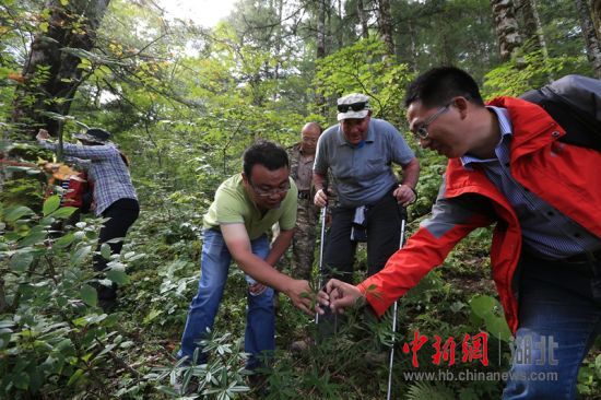 神農架管理人員入選聯合國教科文組織專家庫