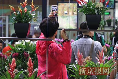 第二十屆中國國際花卉園藝展覽會在京開幕