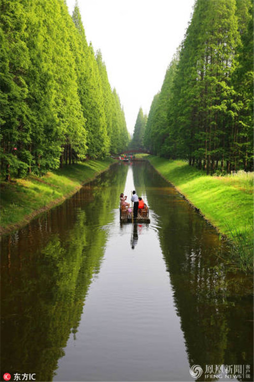 航拍江蘇黃海國(guó)家森林公園