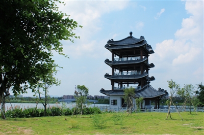 濕地公園扮靚農村人居環境