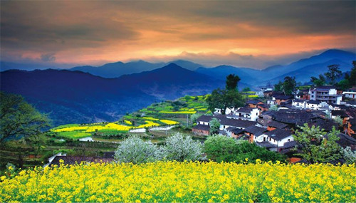 笛東：依托全域旅游的視角引導(dǎo)鄉(xiāng)村振興