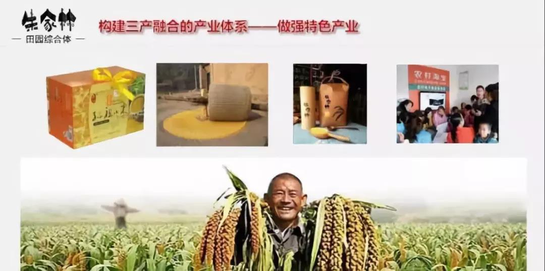 山東朱家林國家級田園綜合體規劃方案