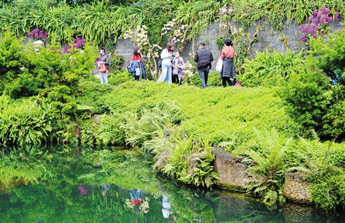 南寧：城市海綿化改造打造人水和諧新景