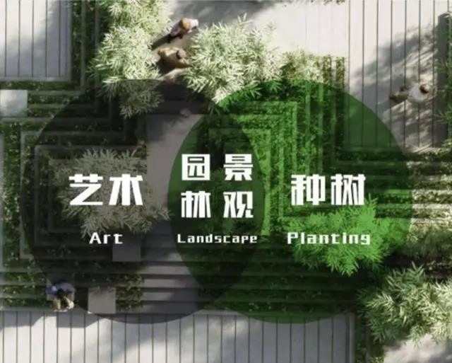 漫畫解釋　園林專業到底是干嘛的？