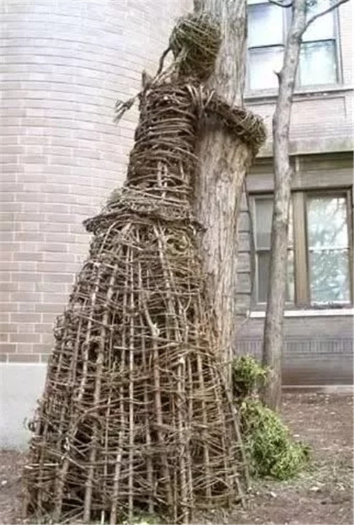 用樹枝與藤蔓，編織的庭院景觀雕塑