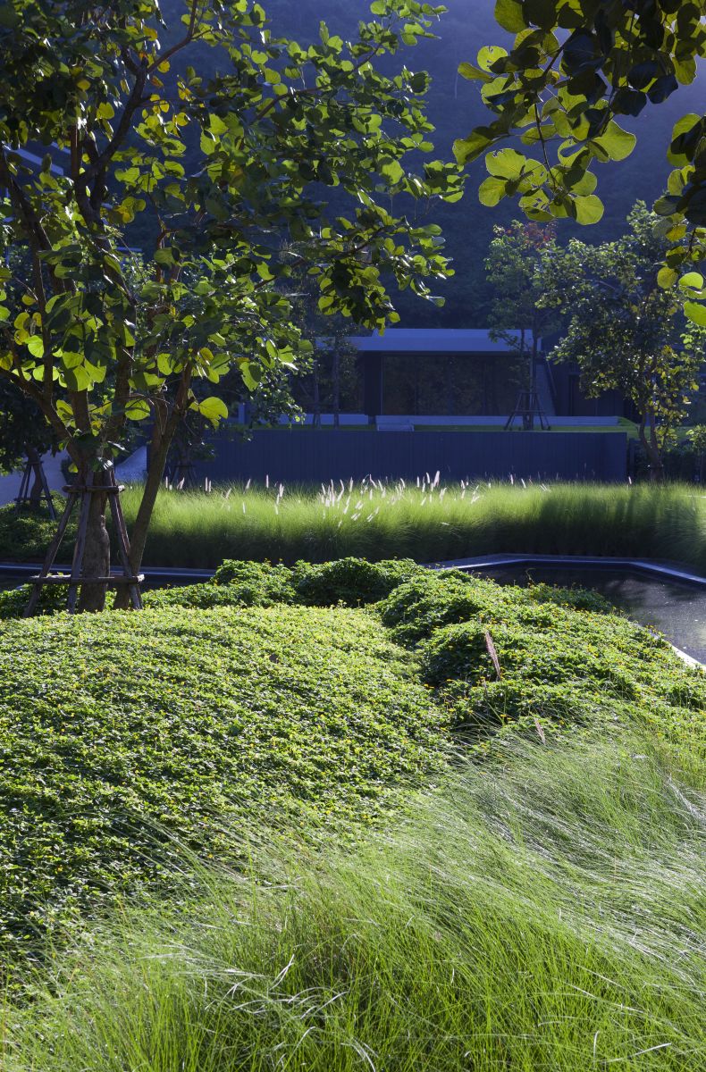考艾23°莊園