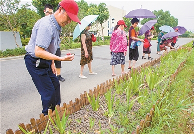 浙江寧波：污泥“搖身”變?yōu)榫G植陶粒