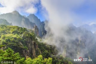 為保護(hù)生態(tài)環(huán)境景區(qū)發(fā)布禁游令 永葆綠洲生機(jī)