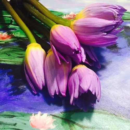 插花入門(mén)篇｜小白選手從認(rèn)識(shí)常見(jiàn)花材開(kāi)始