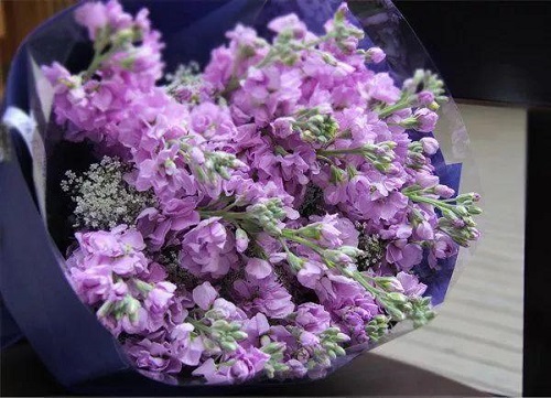 插花入門(mén)篇｜小白選手從認(rèn)識(shí)常見(jiàn)花材開(kāi)始