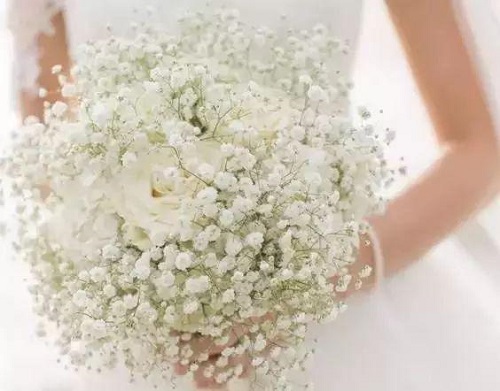 插花入門(mén)篇｜小白選手從認(rèn)識(shí)常見(jiàn)花材開(kāi)始