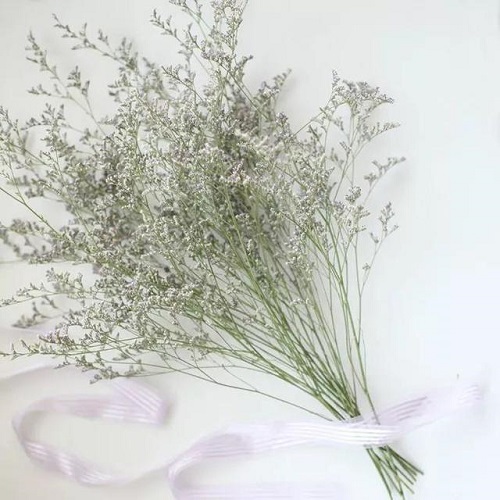 插花入門(mén)篇｜小白選手從認(rèn)識(shí)常見(jiàn)花材開(kāi)始