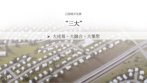 王浩：建設(shè)公園城市要有“三大、四新”