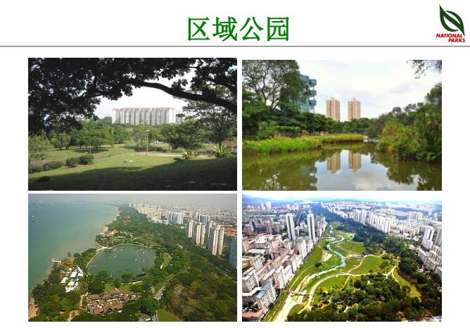 蔡福祥：《新加坡園林建設(shè)與管理》