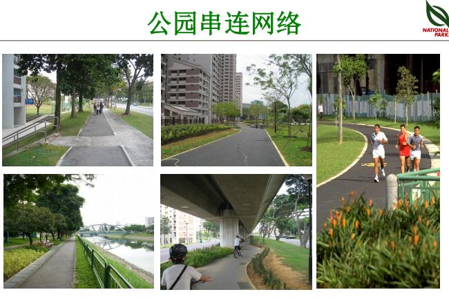 蔡福祥：《新加坡園林建設(shè)與管理》