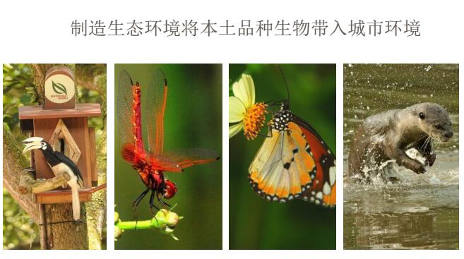 蔡福祥：《新加坡園林建設(shè)與管理》