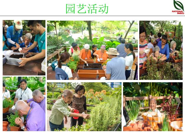 蔡福祥：《新加坡園林建設(shè)與管理》