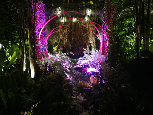 新加坡景觀專業(yè)考察 走進(jìn)夢幻般的新加坡花園節(jié)