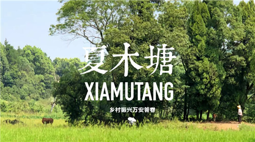 鄉村為底圖，設計為橋梁：2018第三屆國際高校建造大賽結果揭曉