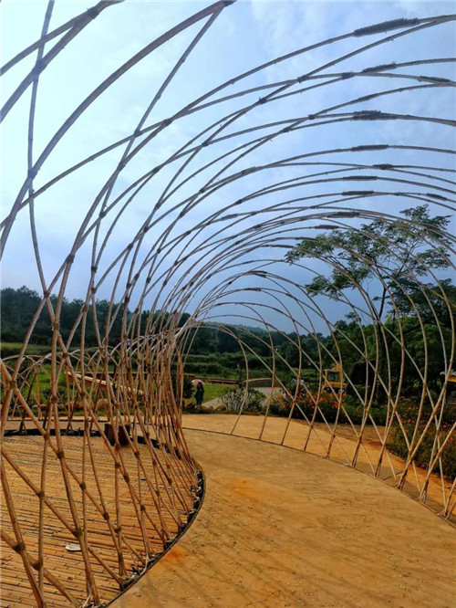 鄉村為底圖，設計為橋梁：2018第三屆國際高校建造大賽結果揭曉