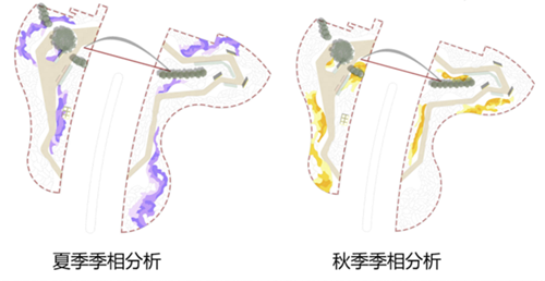 河北省第二屆（秦皇島）園博會花境創(chuàng)意作品——鏡花九象