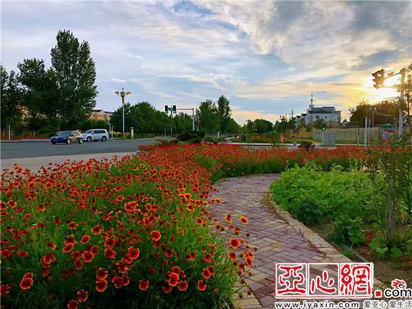 新疆：千里綠廊　百花爭艷別樣美