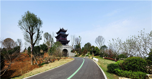 園冶杯專業獎：岳陽南湖龍山景區園林綠化景觀EPC項目