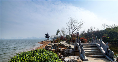 園冶杯專業獎：岳陽南湖龍山景區園林綠化景觀EPC項目