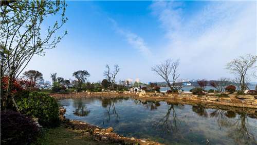 園冶杯專業獎：岳陽南湖龍山景區園林綠化景觀EPC項目