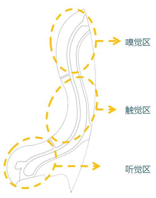 河北省第二屆園博會(huì)花境創(chuàng)意作品——尋光者