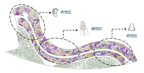 河北省第二屆園博會(huì)花境創(chuàng)意作品——尋光者