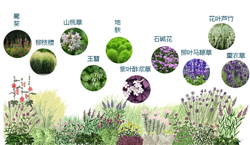 河北省第二屆園博會(huì)花境創(chuàng)意作品——尋光者