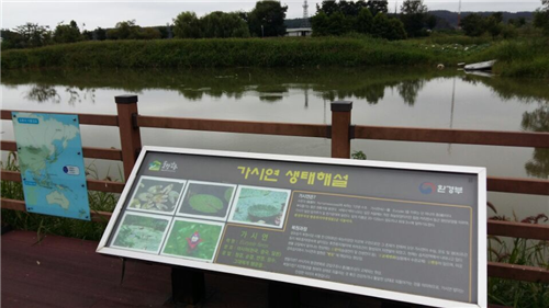 趙泰東：韓國江陵市鏡浦濕地修復計劃和現狀