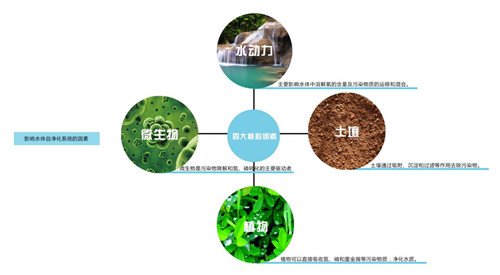 園冶杯專業(yè)獎(jiǎng)：楊柳灣濱河公園景觀設(shè)計(jì)