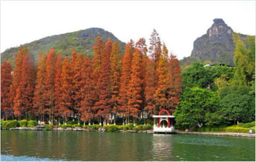 鄭文?。汗鹆謨山暮h(huán)城水系景觀建設思考