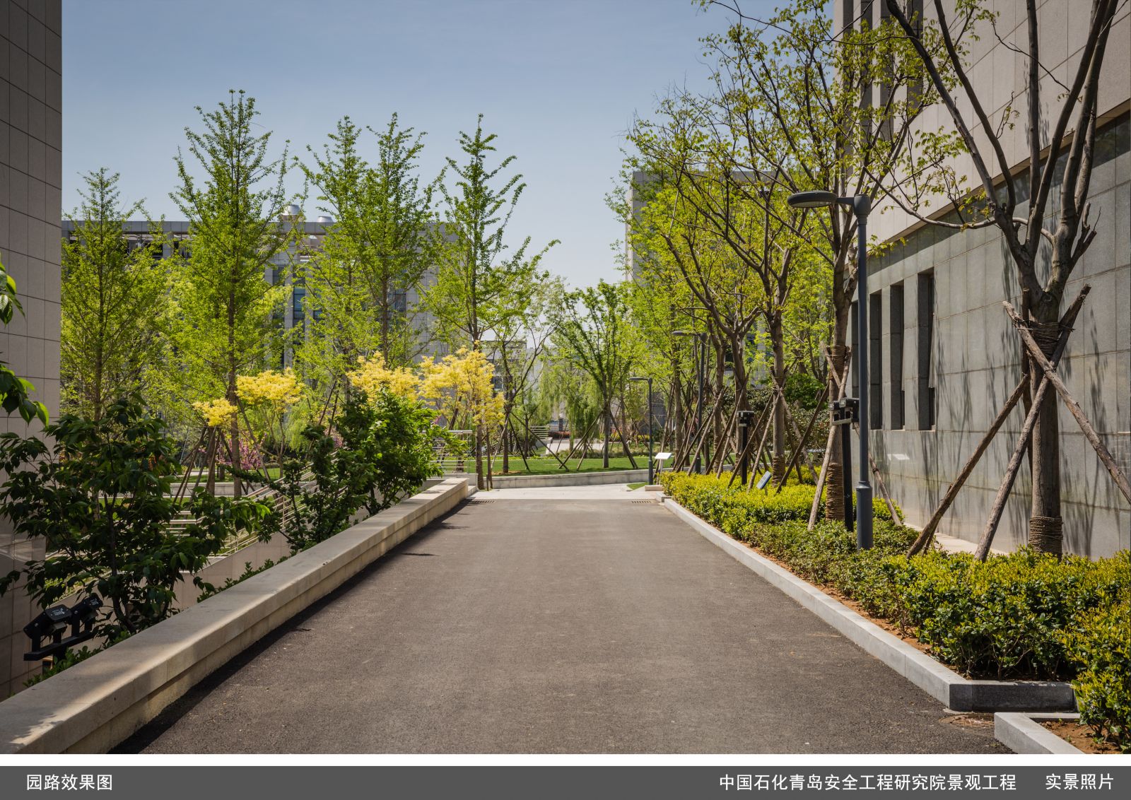 園冶杯專業獎：中國石化青島安全工程研究院景觀