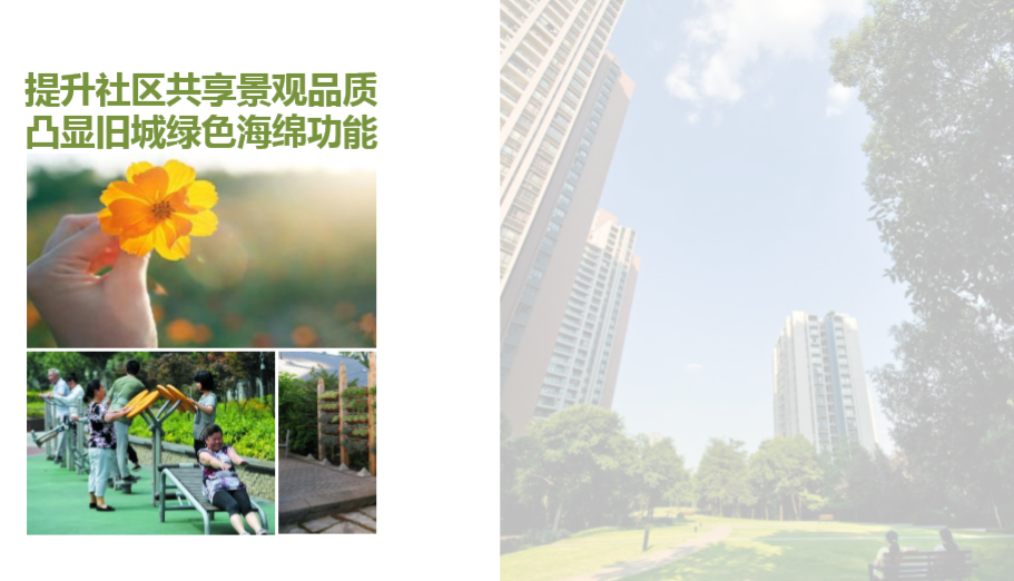 園冶杯專業獎：江蘇鎮江江二社區海綿城市改造工程景觀設計 