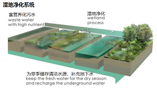 園冶杯專業獎：濟南章丘小東山濕地公園