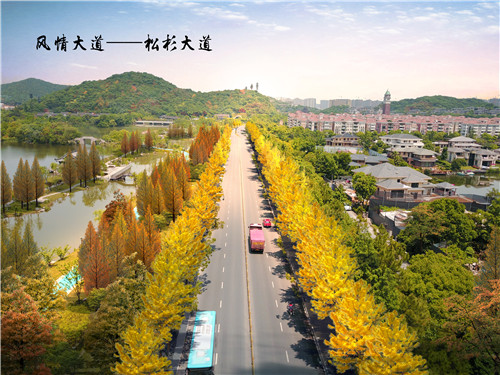 園冶杯專業(yè)獎：湘湖度假區(qū)景觀提升工程