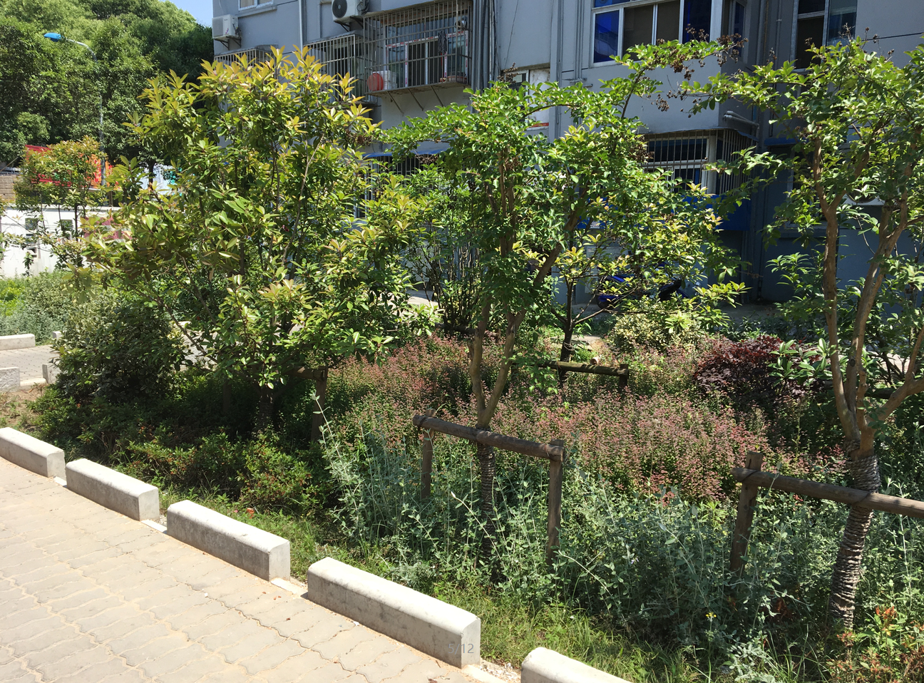 園冶杯專業獎：鎮江市江二社區海綿城市改造工程景觀設計